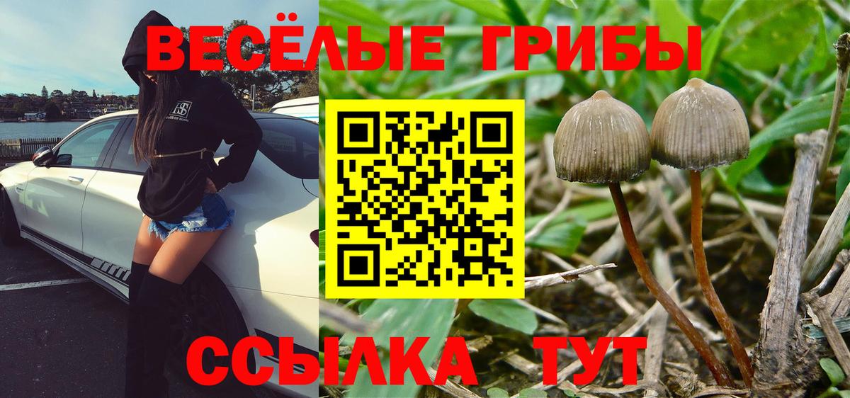 Псилоцибиновые грибы GOLDEN TEACHER  Вход с VPN  Псилоцибиновые грибы Psilocybine cubensis  Ревда 