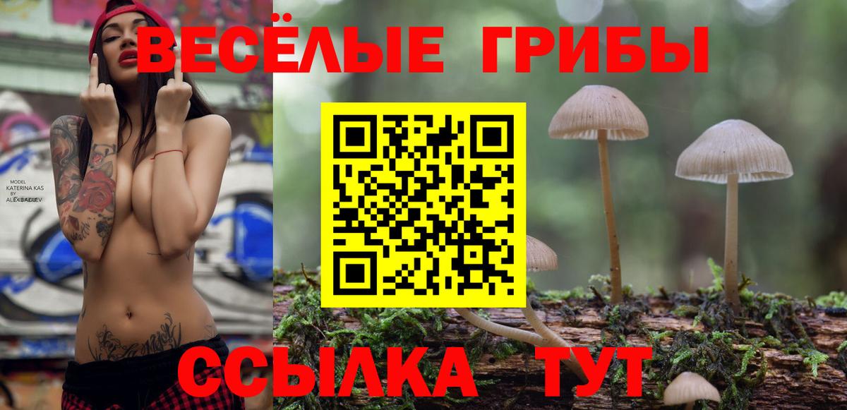 Галлюциногенные грибы прущие грибы Ревда